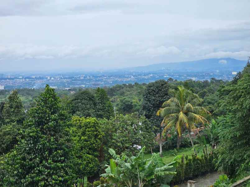 tanah cijeruk
