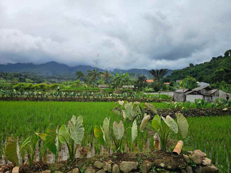 tanah pamijahan