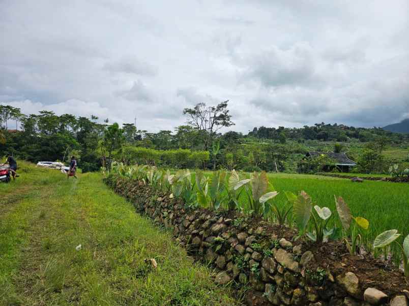 tanah pamijahan