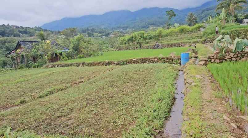 tanah pamijahan