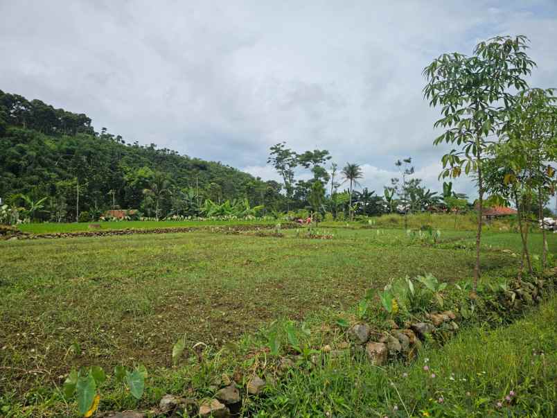 tanah pamijahan