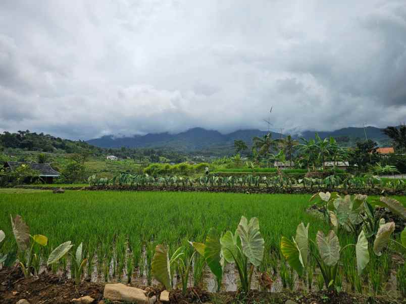 tanah pamijahan