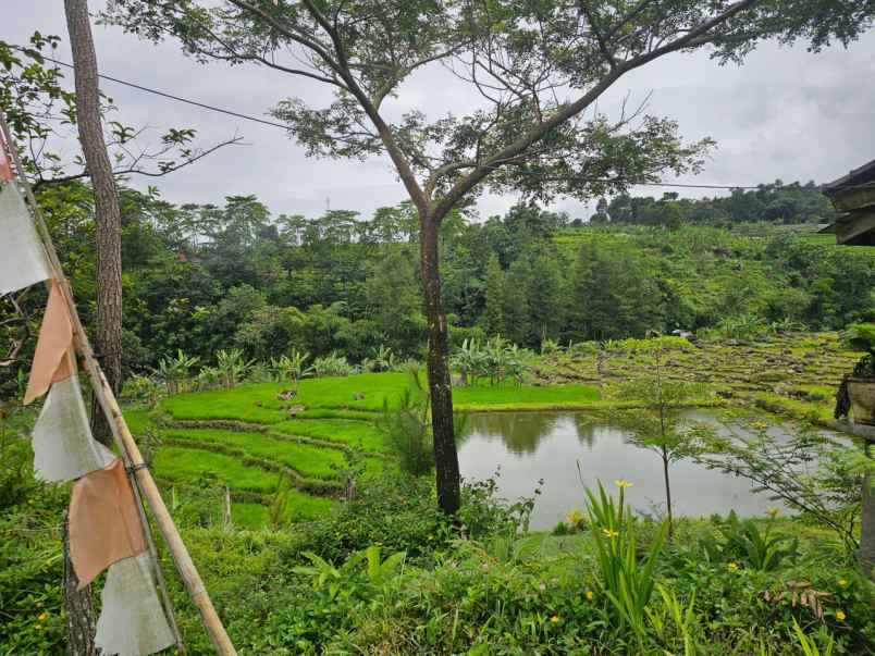 tanah pamijahan