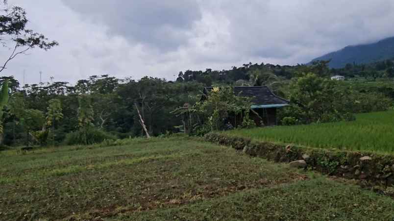 tanah pamijahan