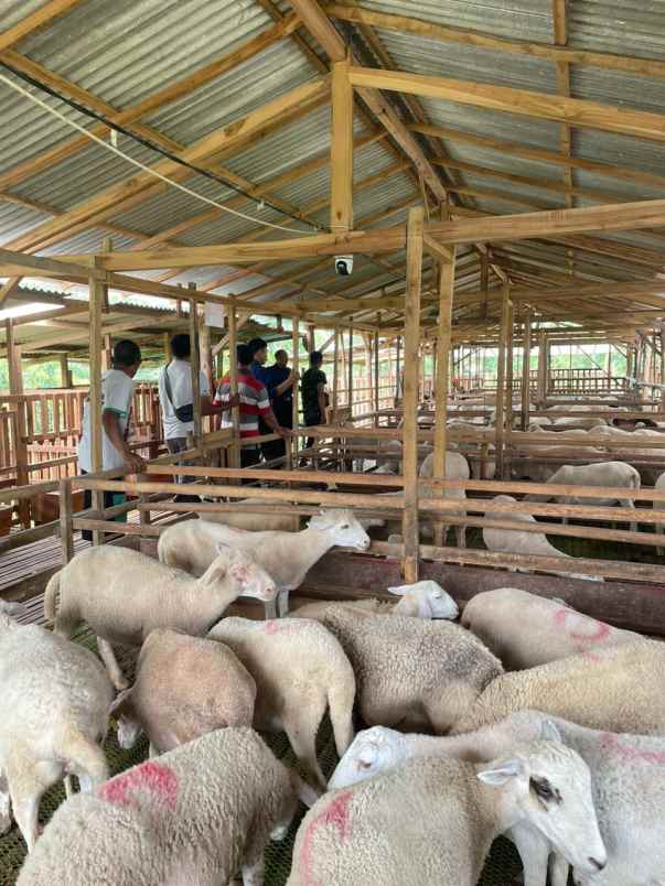 makanan dan minuman blitar