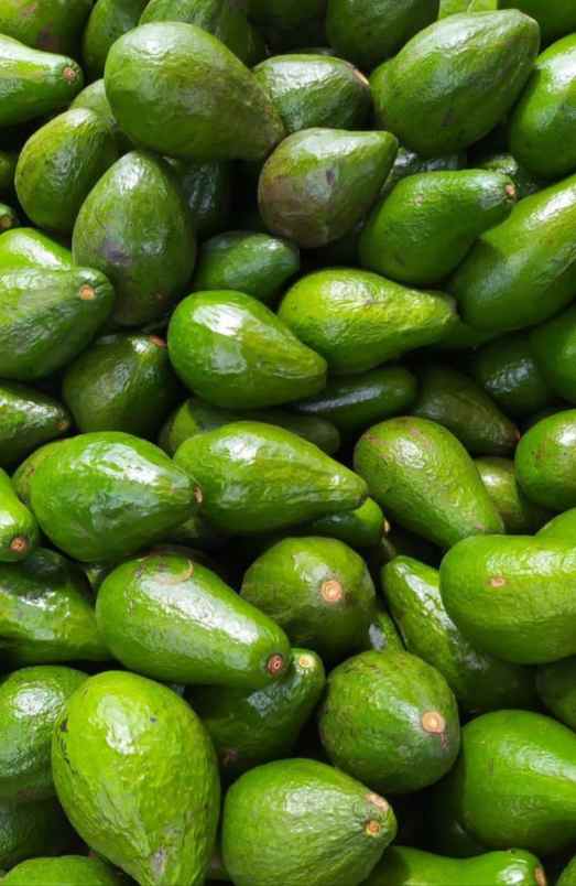 produk lain ngronggot