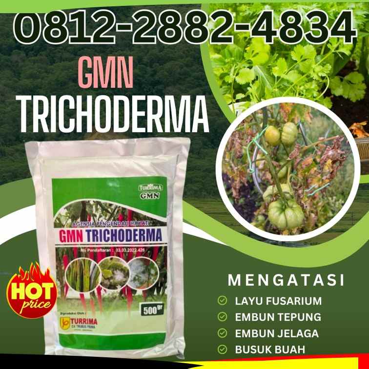 konstruksi dan taman kutowinangun