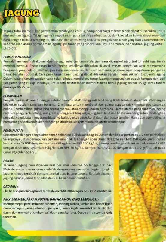 produk lain pasuruan