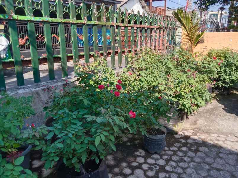 dekorasi rumah sukorejo