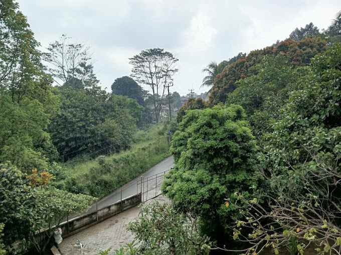 tanah bogor