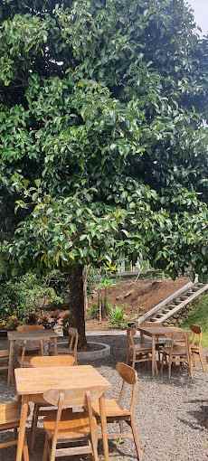 tanah bogor