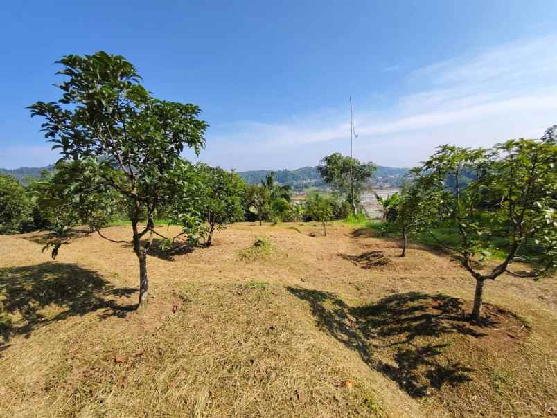 tanah leuwiliang