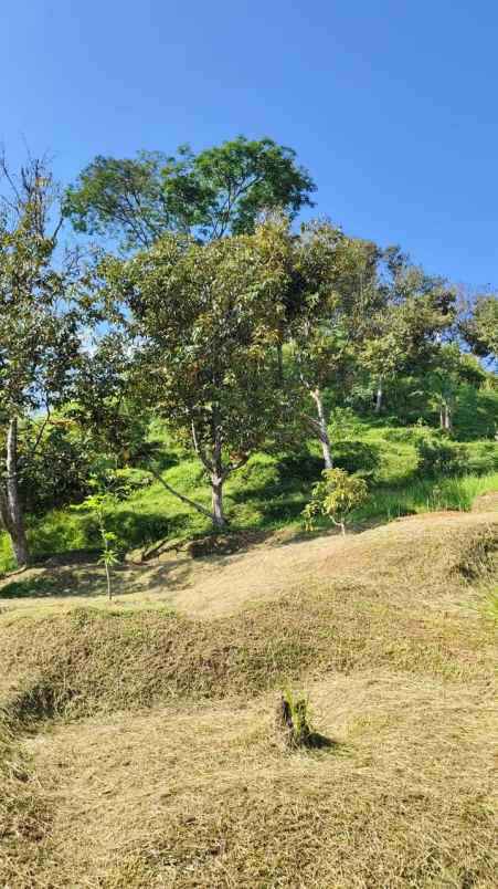 tanah leuwiliang