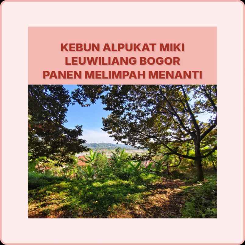 tanah leuwiliang