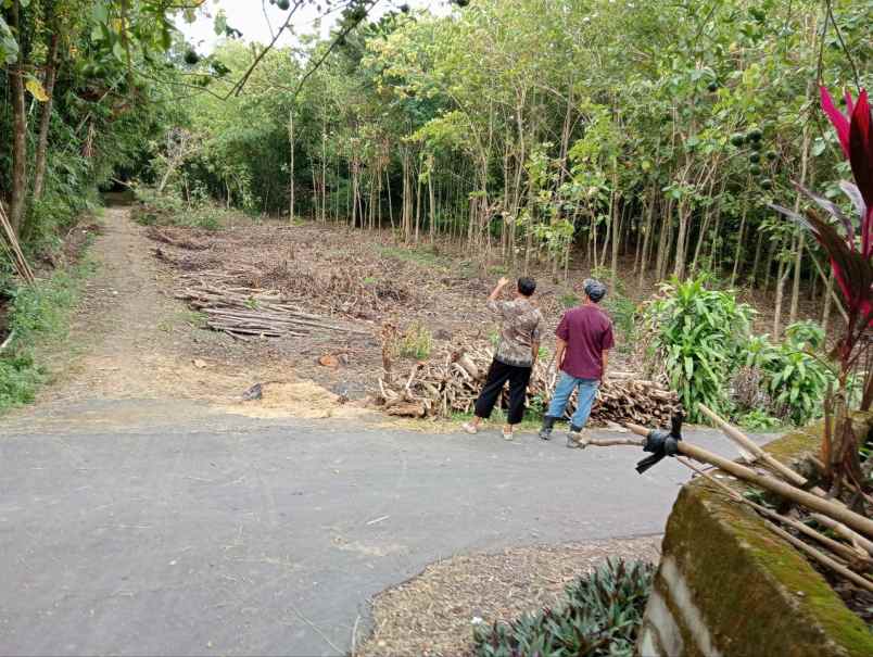 tanah gondang