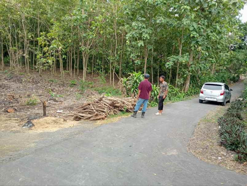 tanah gondang