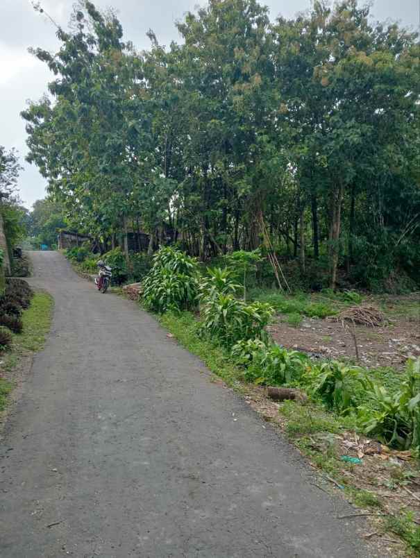 tanah gondang