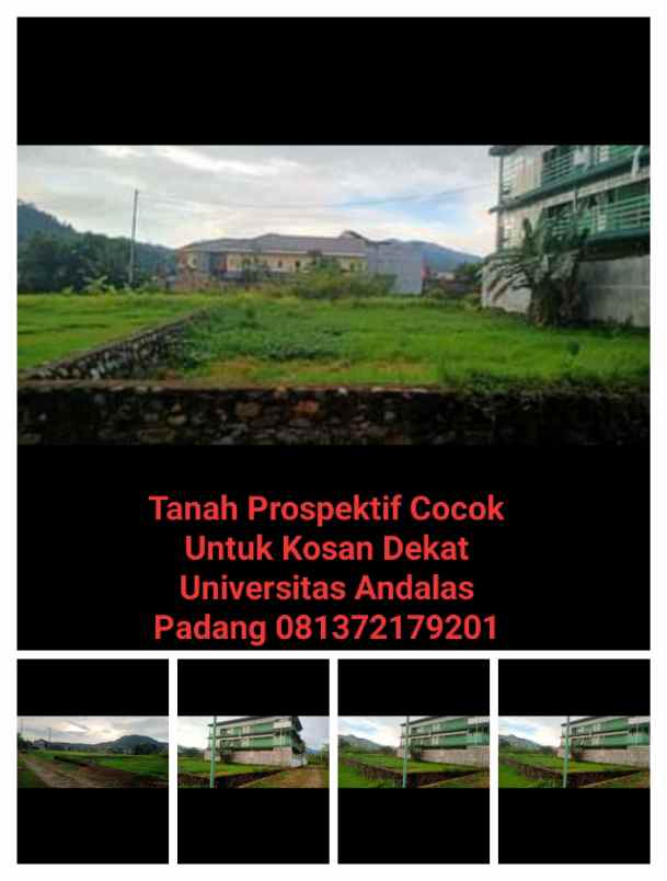 tanah pauh