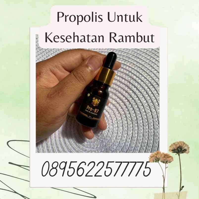 herbal dan suplemen banguntapan