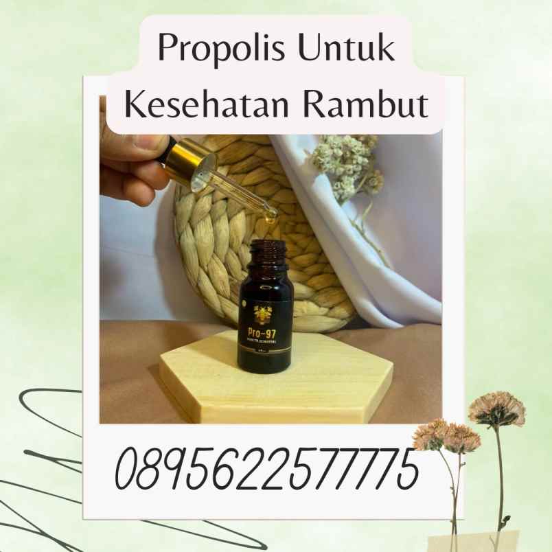 herbal dan suplemen banguntapan