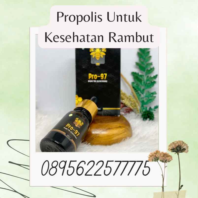 herbal dan suplemen banguntapan