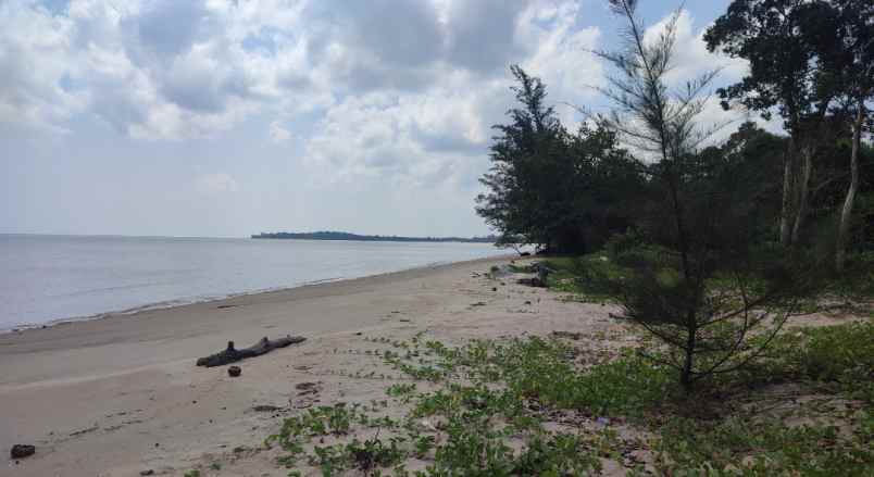tanah ketapang