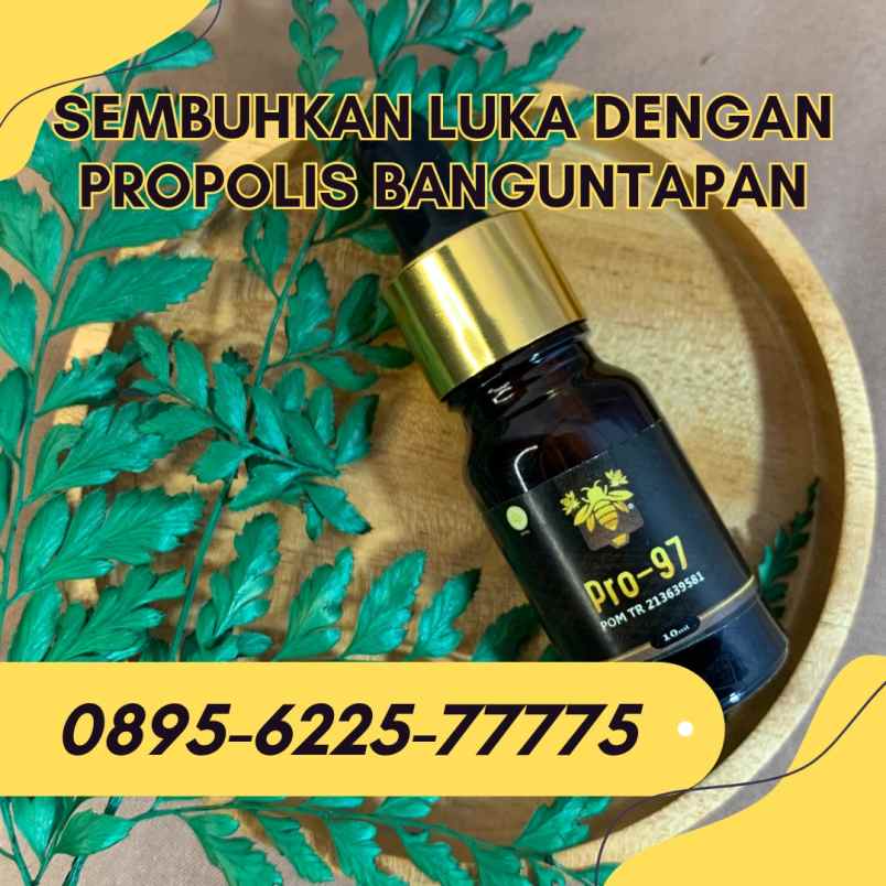 herbal dan suplemen banguntapan