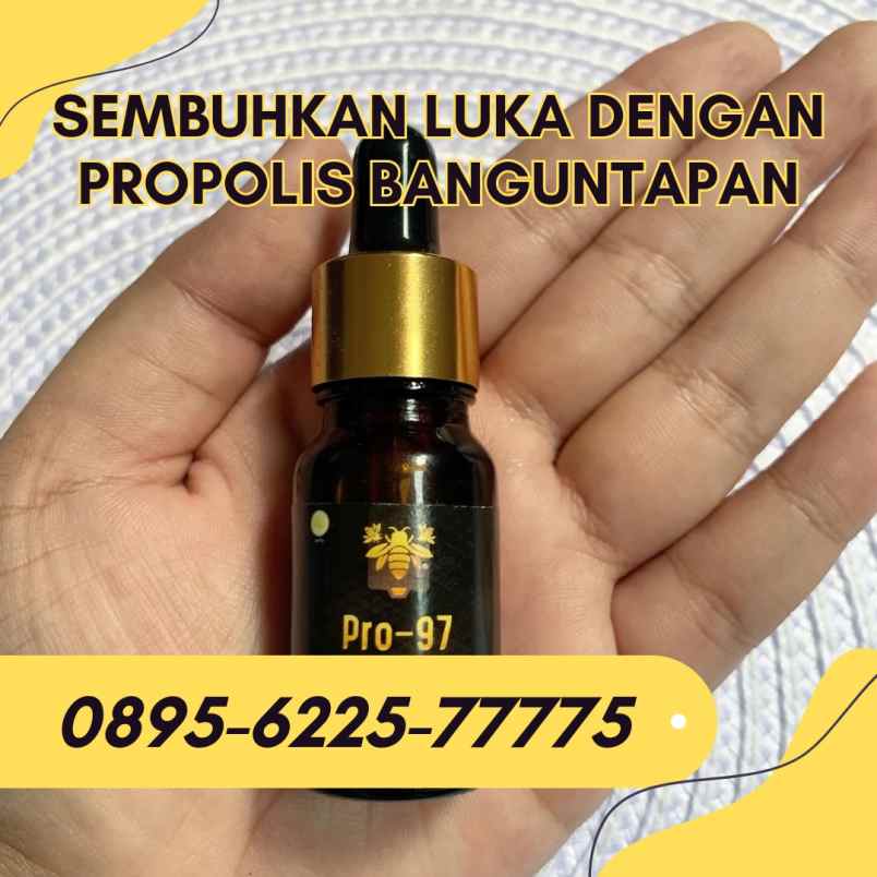 herbal dan suplemen banguntapan