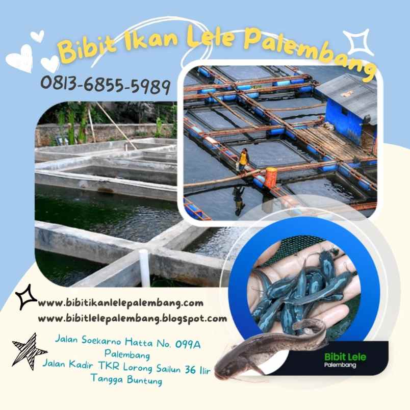 alat usaha kertapati
