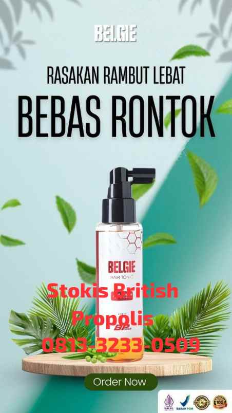 herbal dan suplemen blimbing