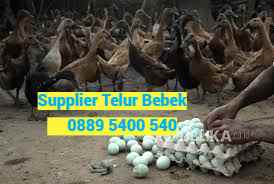 makanan dan minuman karang geneng