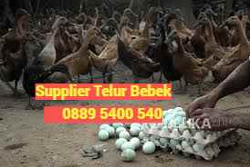 makanan dan minuman karang geneng