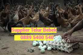 makanan dan minuman karang geneng