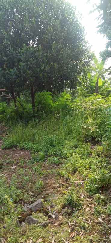 tanah bojong