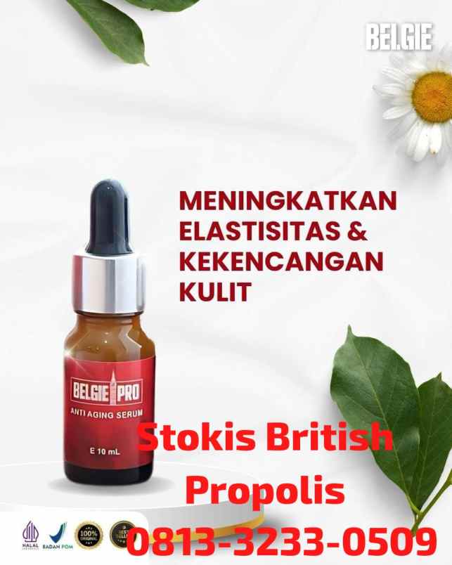 herbal dan suplemen sidoarjo