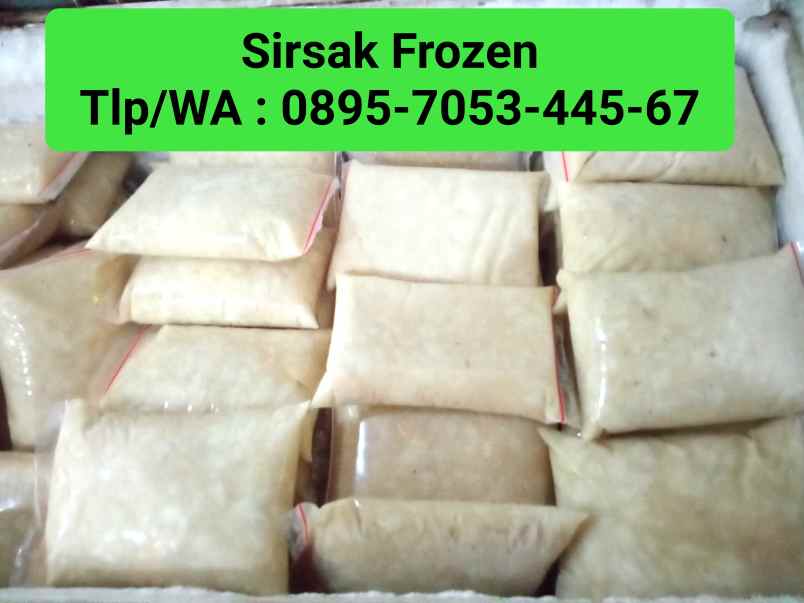 peralatan rumah lain denpasar selatan