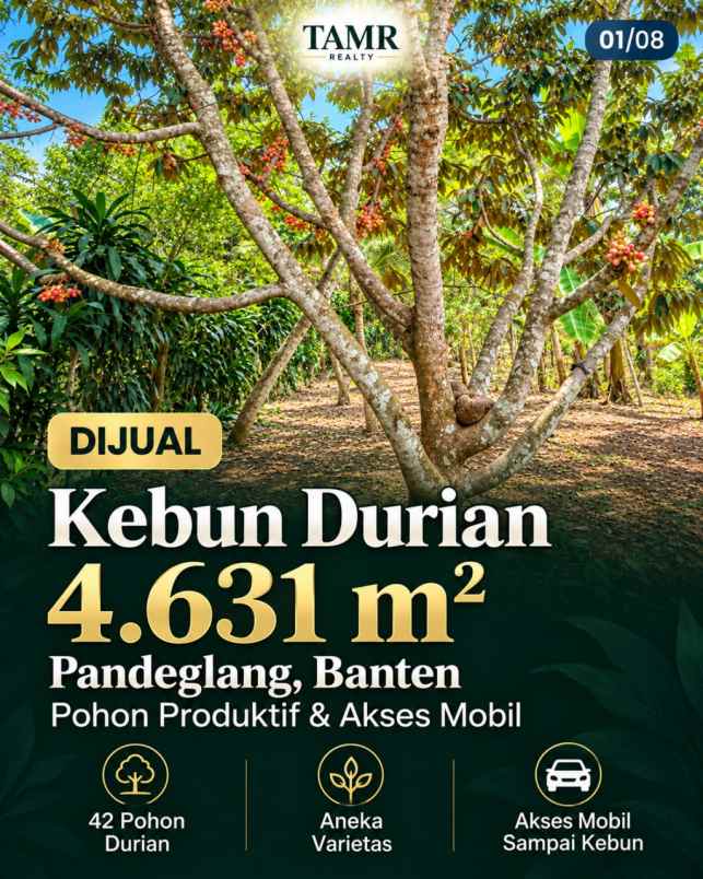 tanah pandeglang