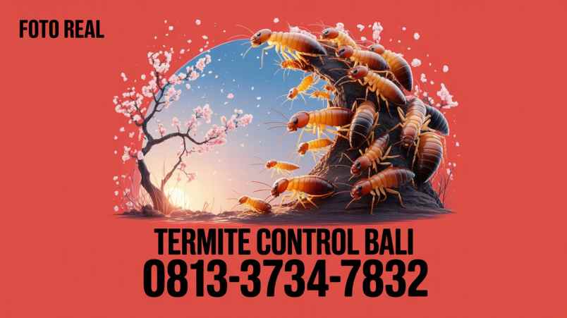 jasa lain denpasar
