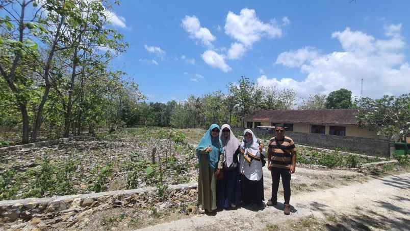 tanah gunung kidul