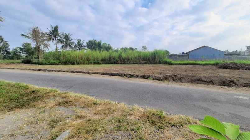 tanah sleman