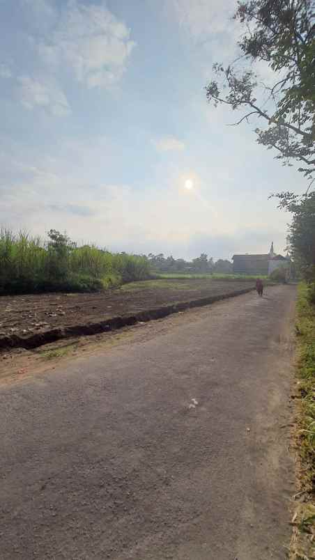 tanah sleman