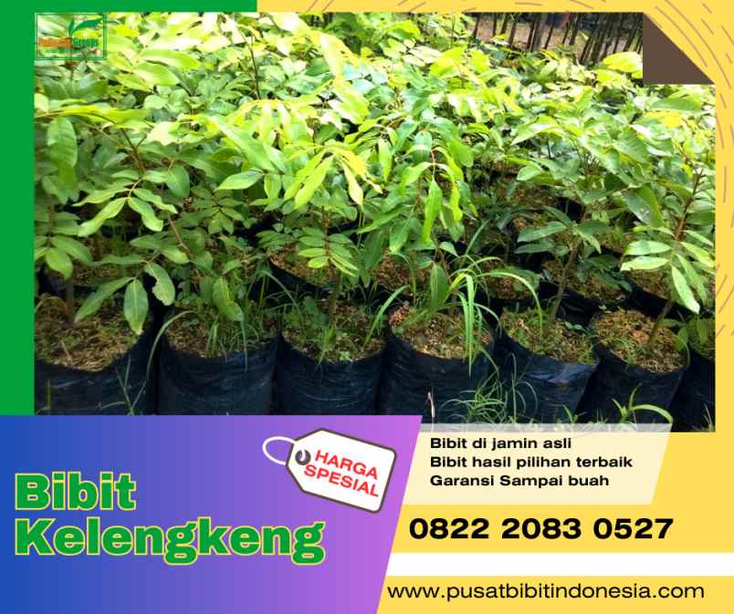 produk lain kedungkandang