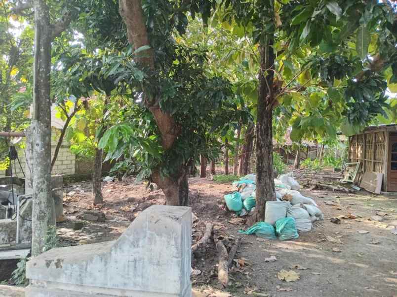 tanah sragen