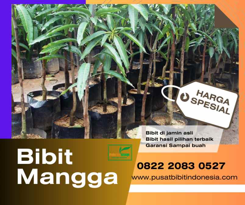 produk lain klirong