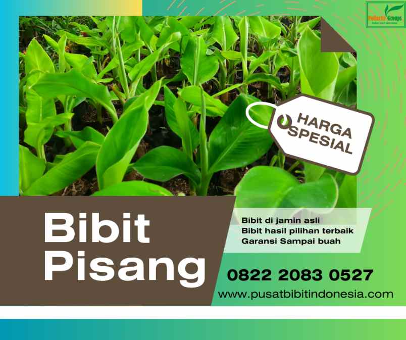 produk lain klirong