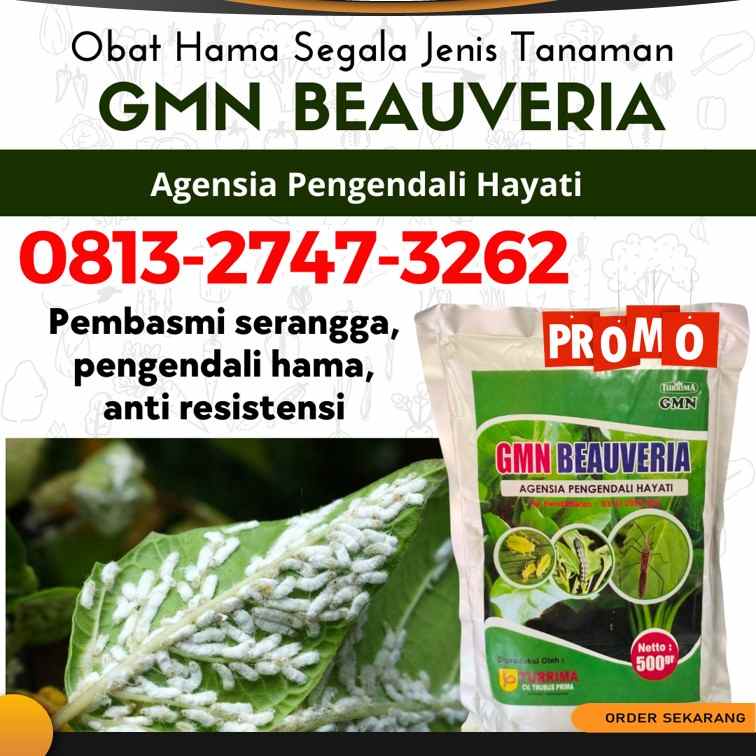 konstruksi dan taman kutowinangun
