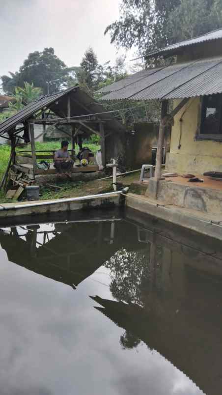 tanah banjaran
