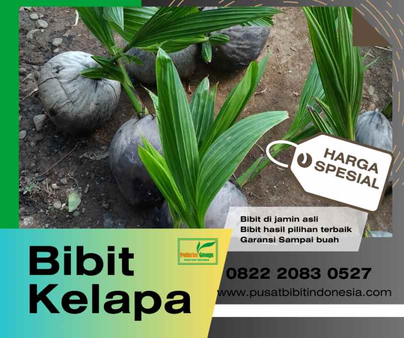 produk lain medan deli