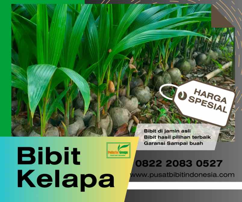 produk lain medan deli