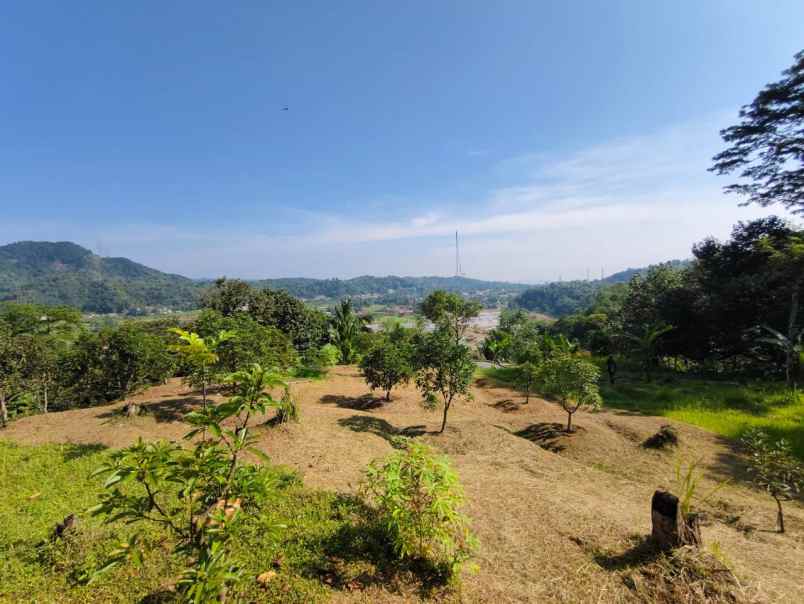 tanah bogor